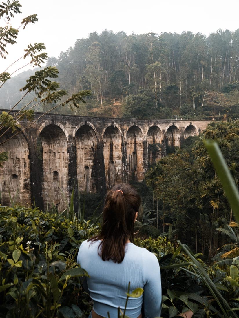 Traditional Sri Lankan cuisine